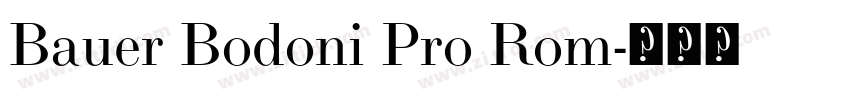 Bauer Bodoni Pro Rom字体转换